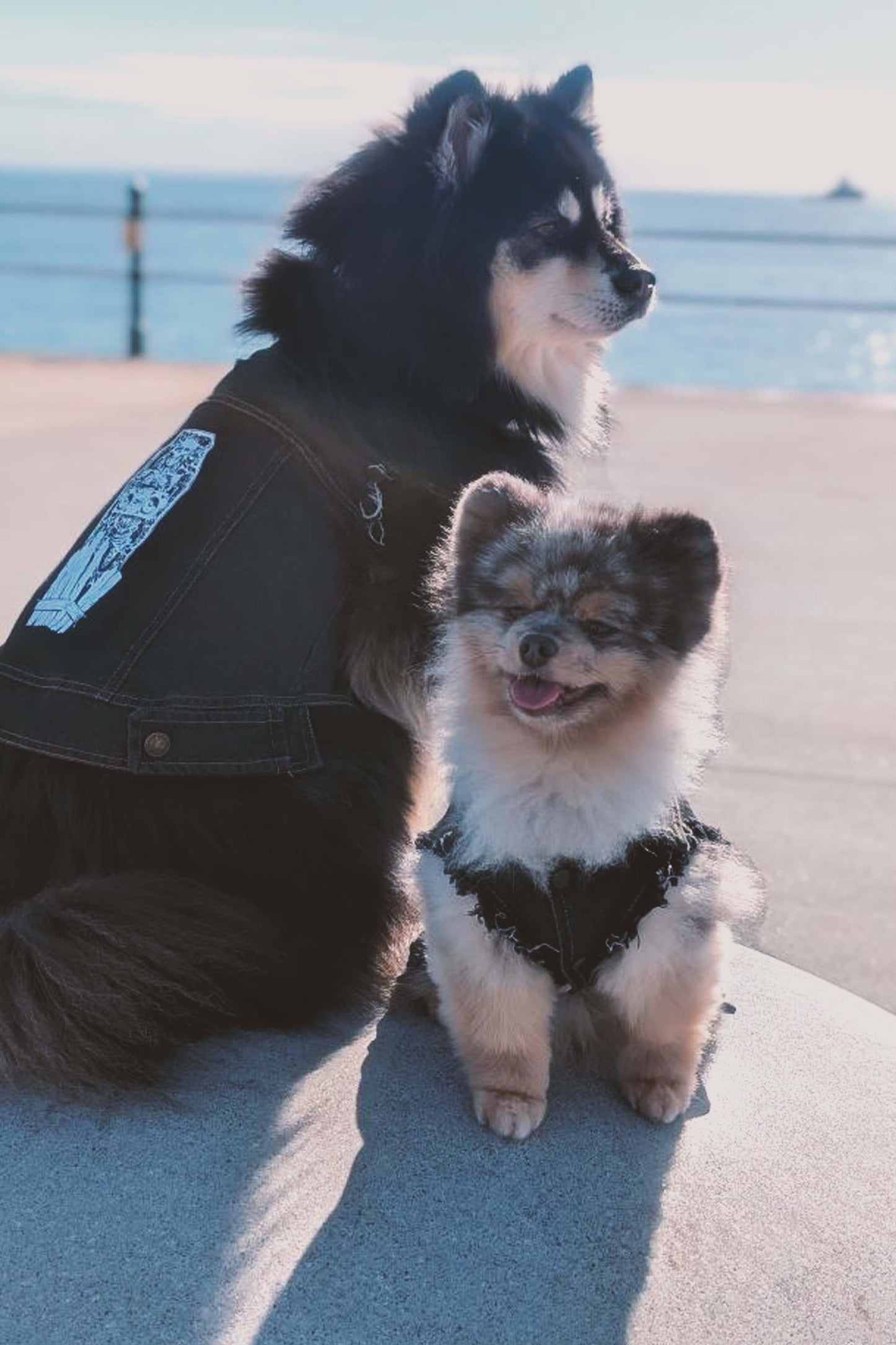 Root Paws - Dead Loud Denim Jacket
