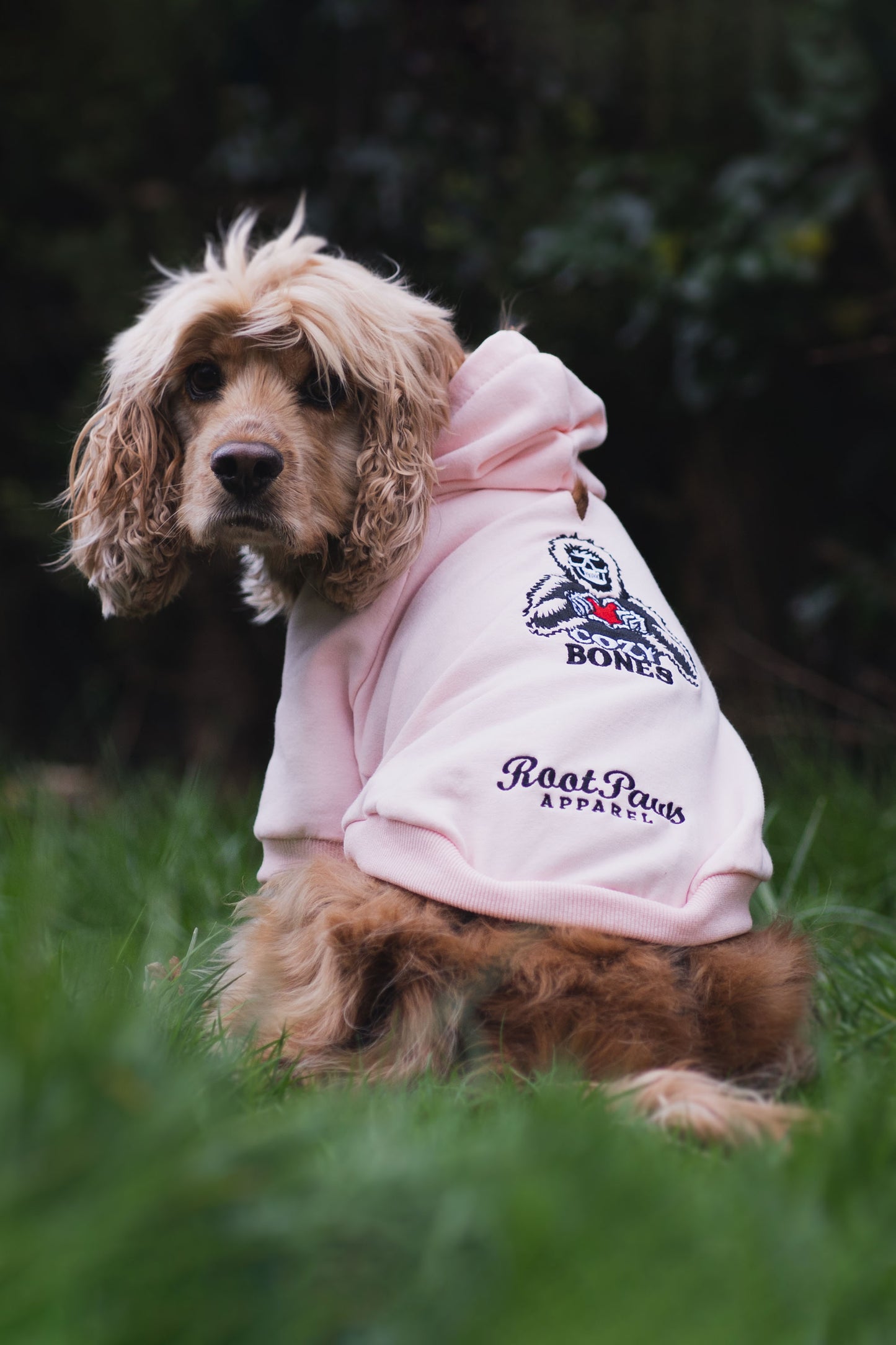 Root Paws - Pink Cozy Bones Hoodie