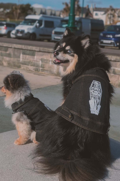 Root Paws - Dead Loud Denim Jacket