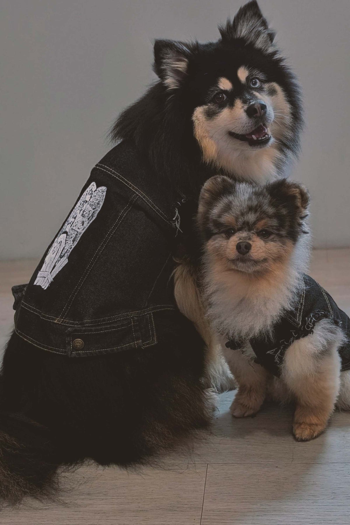 Root Paws - Dead Loud Denim Jacket