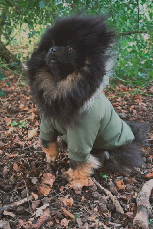 Root Paws - Never Better Parka Jacket