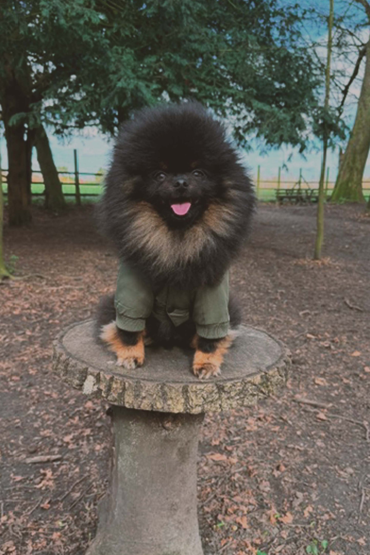 Root Paws - Never Better Parka Jacket