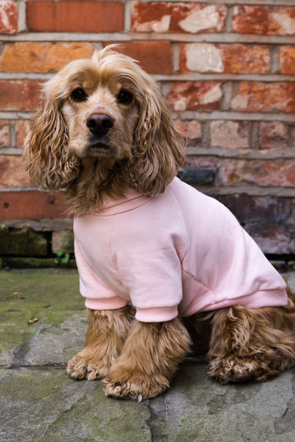 Root Paws - Pink Cozy Bones Hoodie