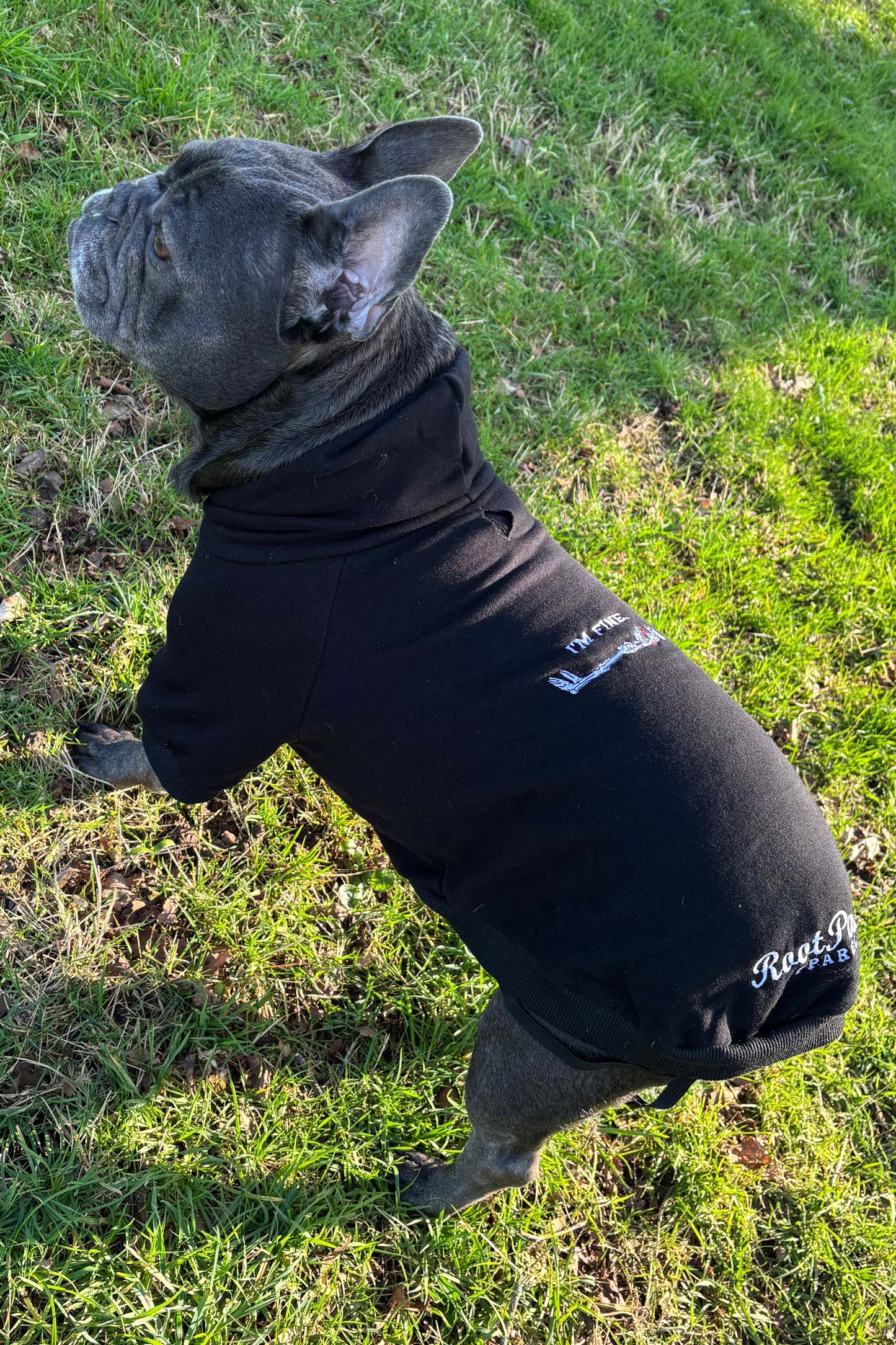 Root Paws - Black Im Fine Hoodie