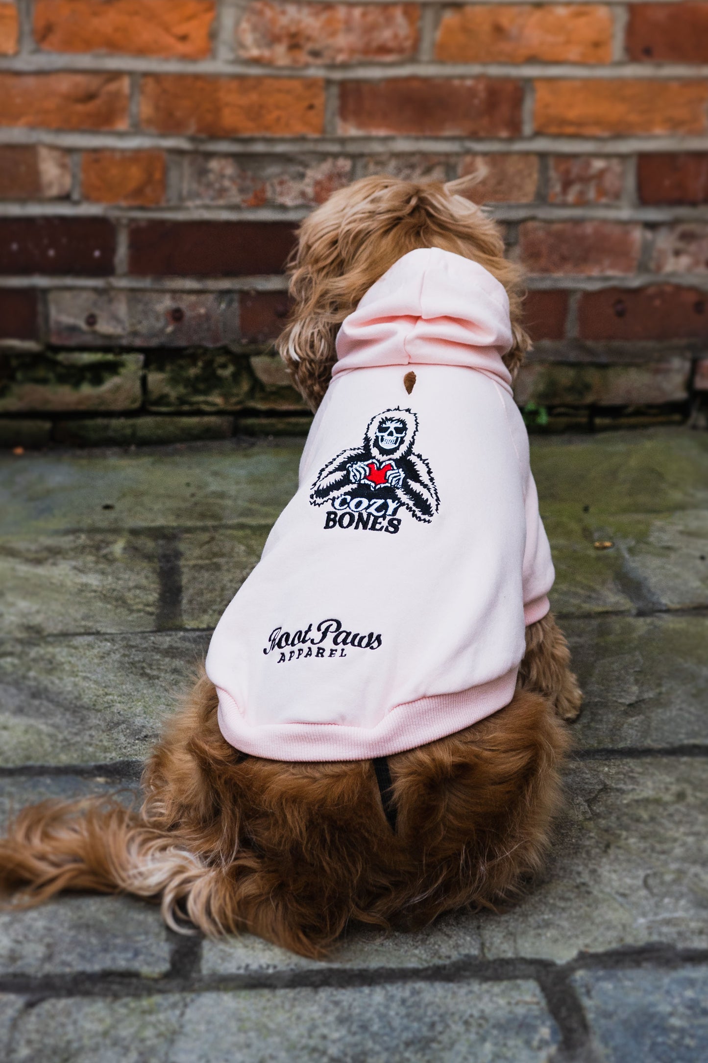 Root Paws - Pink Cozy Bones Hoodie