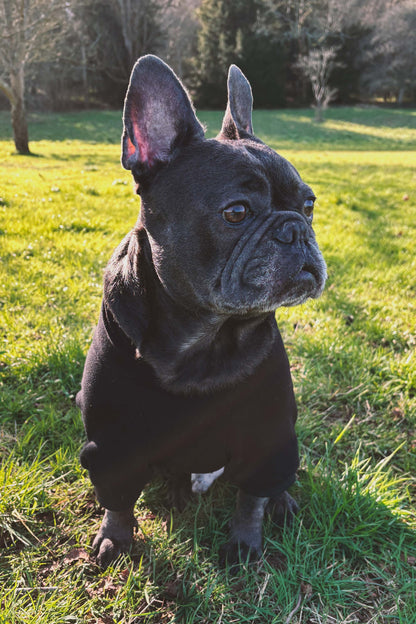 Root Paws - Black Im Fine Hoodie